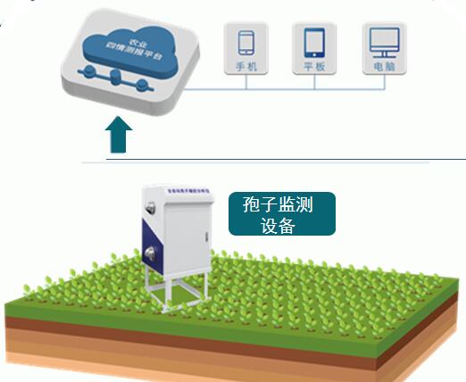 智能孢子遠程監(jiān)測系統(tǒng)(圖4)
