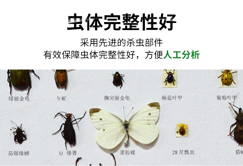 風吸式殺蟲燈(圖16)